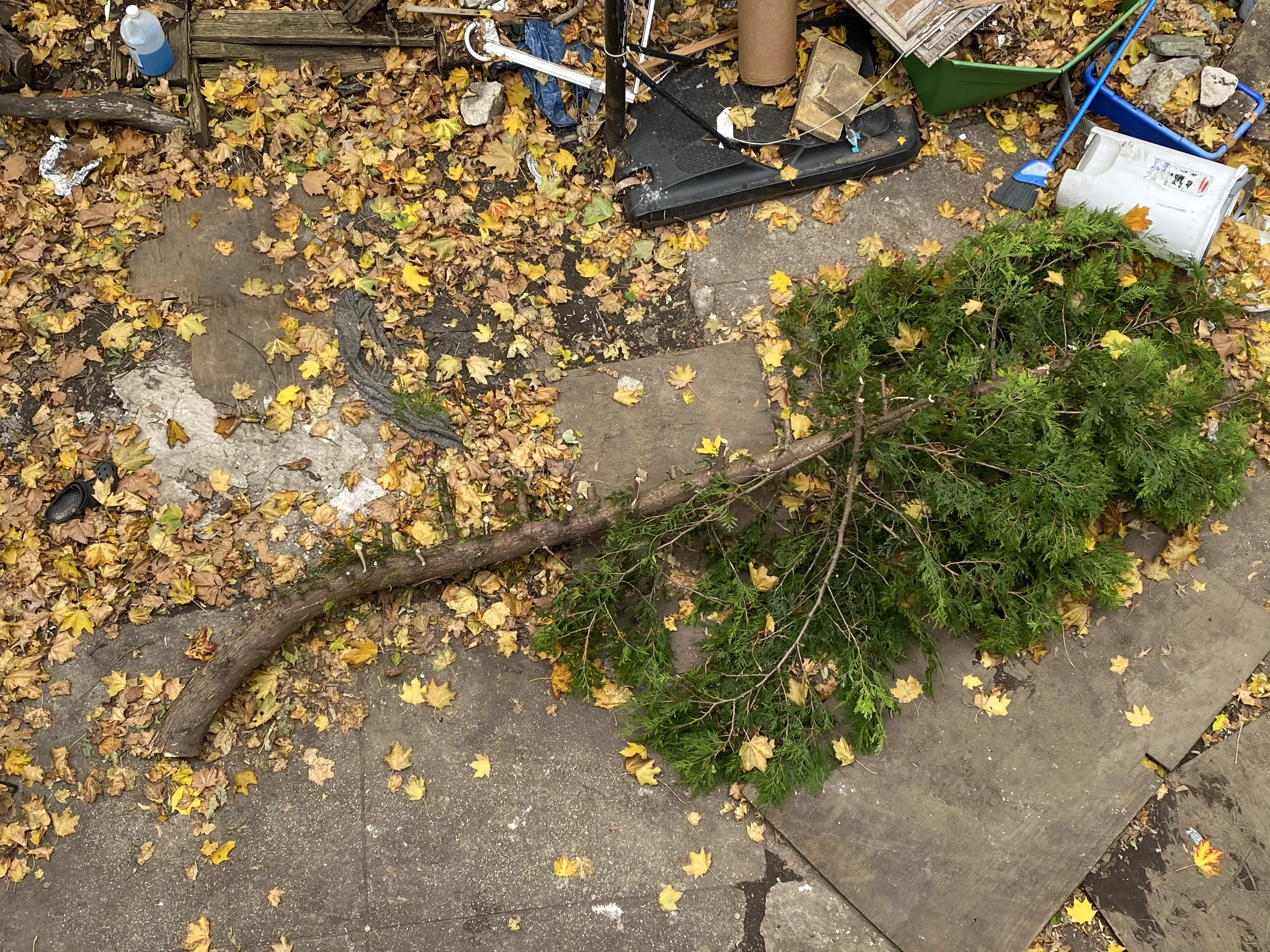 Secure & Convenient Private Parking in Brooklyn, NY