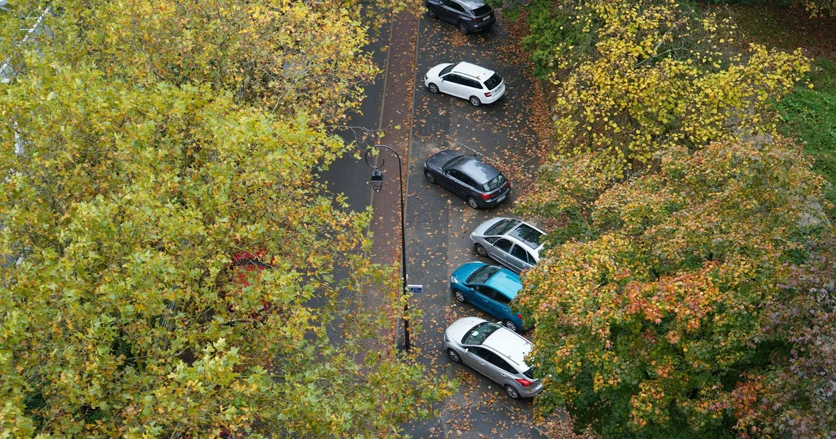 Aerial view of parked cars along a tree lined street with fallen.