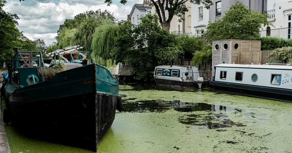 Parking Fines Guide in Canal, England — car parking spaces and facilities