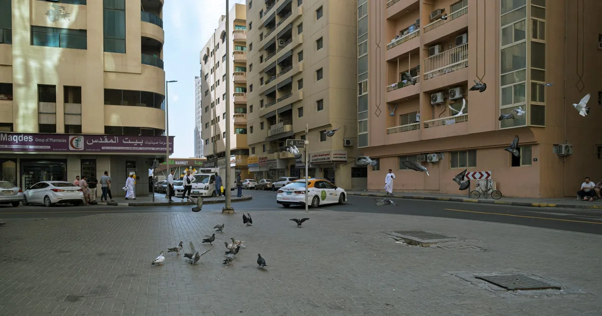 Cheap Parking Tips in Mira, Dubai — car parking spaces and facilities