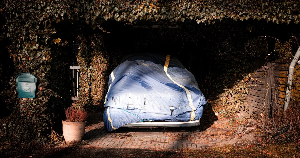 Covered vehicle parked under a leafy structure with a mailbox nearby.