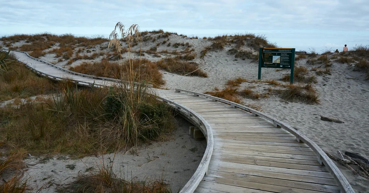 Parking Permits Guide in Waikanae Beach, Wellington — car parking spaces and facilities