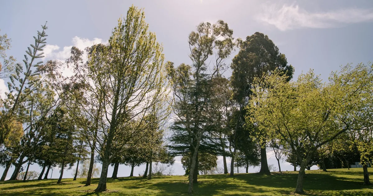 Rent Parking Guide in Parklands, Canterbury — car parking spaces and facilities