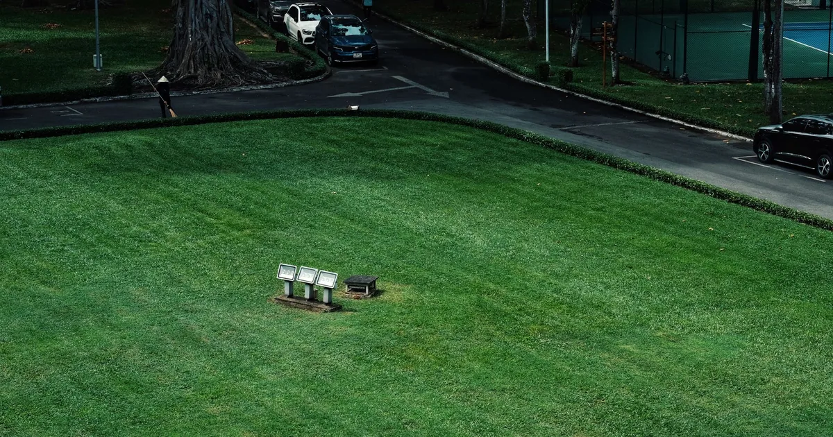 Grassy parking area with empty spaces and parked vehicles in the.