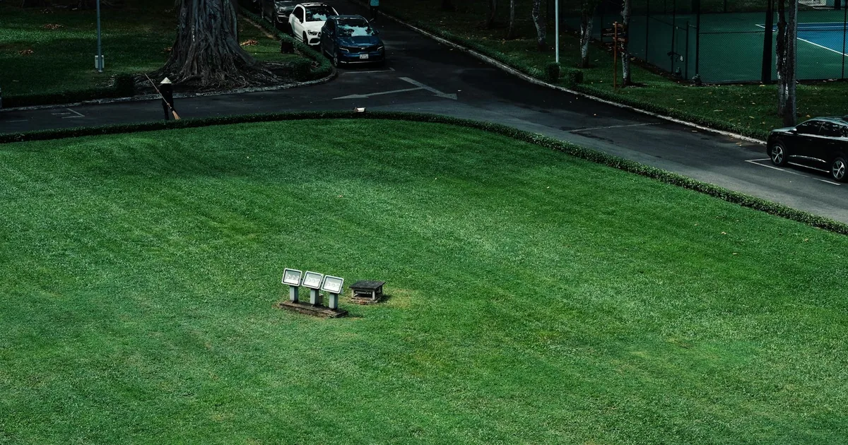 Green parking area with two empty spaces and cars in the background.