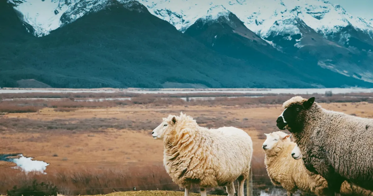 Rent Parking Guide in Glenorchy, Otago — car parking spaces and facilities