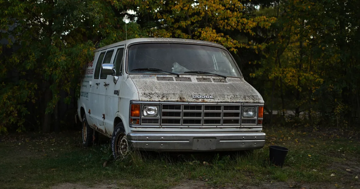 Old dirty van parked in a grassy area with trees in the background.