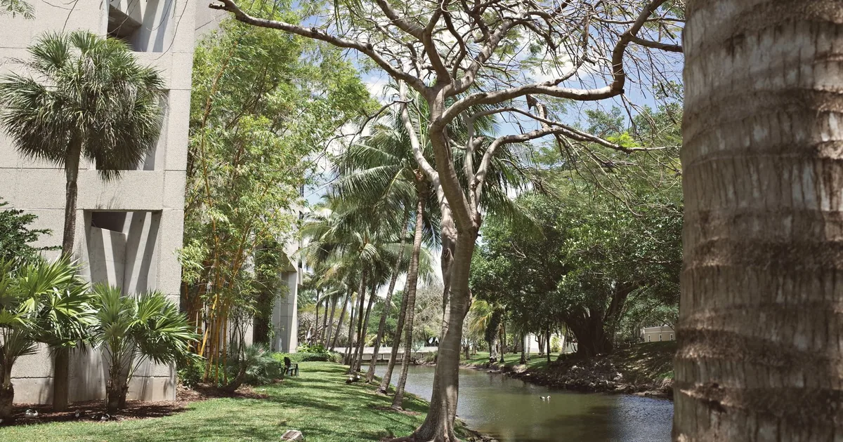Parking Permits Guide in Coral Gables, Florida — car parking spaces and facilities