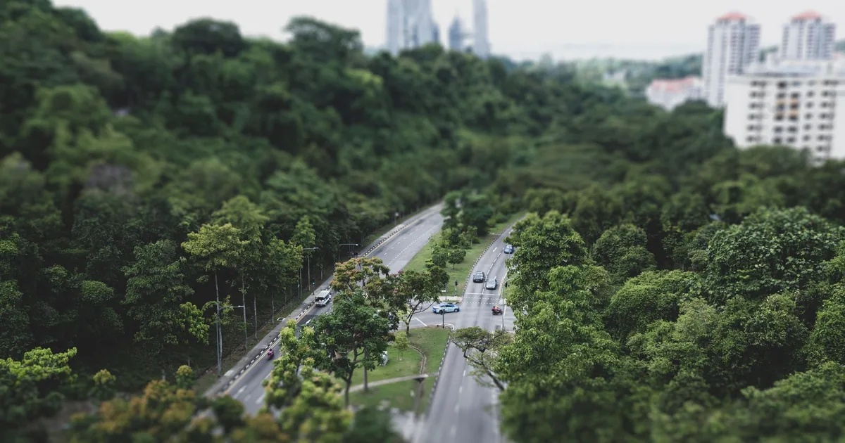 Parking area beside a road surrounded by trees and urban buildings.