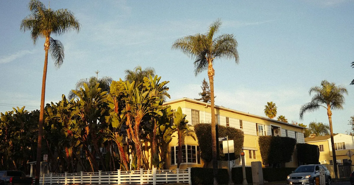 Parking area surrounded by palm trees and a residential building.