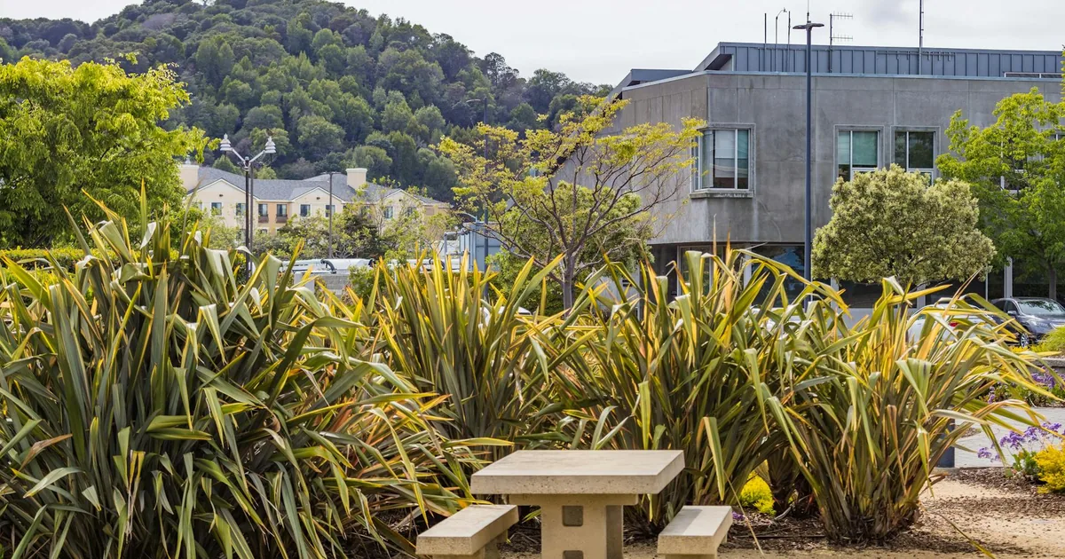Parking Permits Guide in Te Awa, Hawke's Bay — car parking spaces and facilities