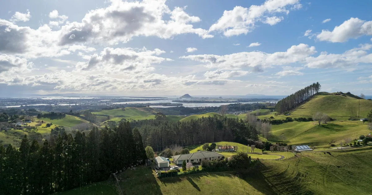 Parking Permits Guide in Half Moon Bay, Auckland — car parking spaces and facilities