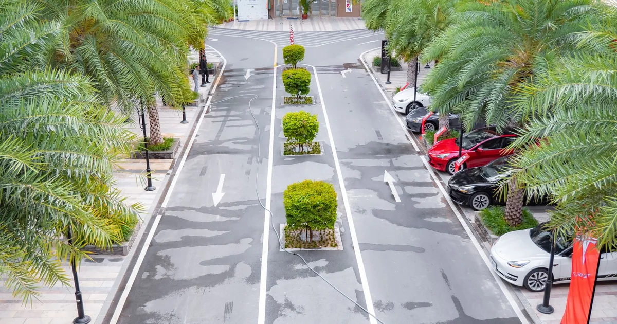 Parking area with palm trees shrubs and vehicles on either side of.