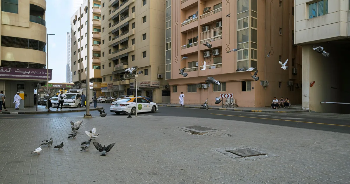 Cheap Parking Tips in Kalba, Sharjah — car parking spaces and facilities