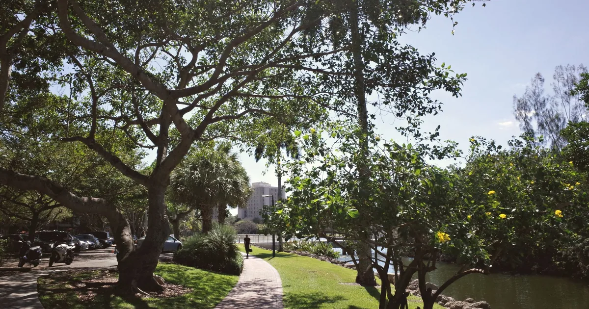 Parking Fines Guide in Coral Gables, Florida — car parking spaces and facilities