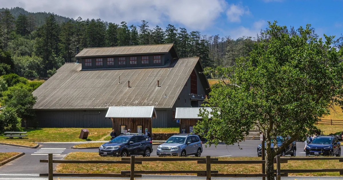 Parking lot with several cars near a large building and trees in.