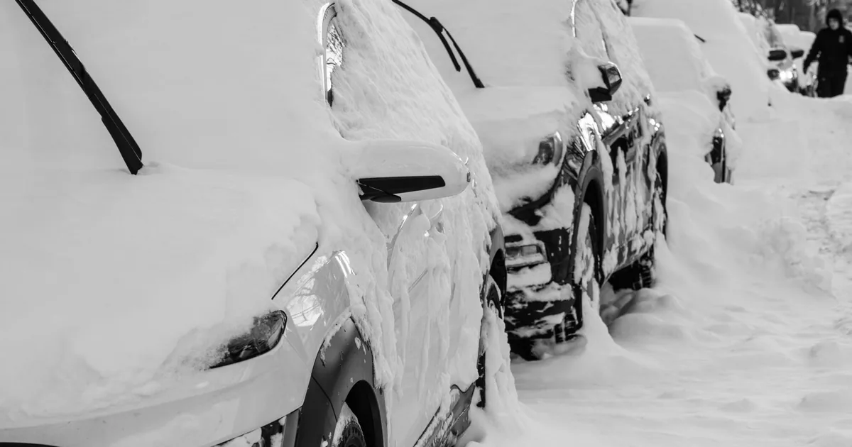 Row of parked cars covered in snow with a person walking nearby.