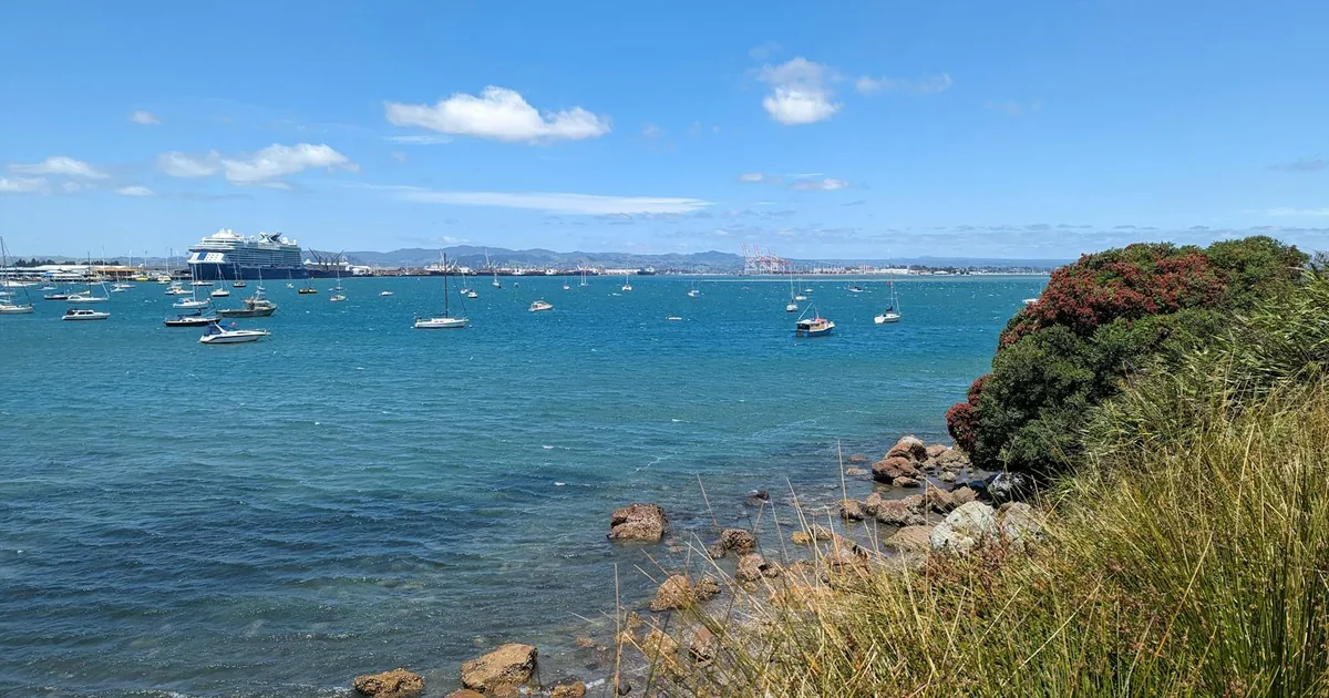 Parking Permits Guide in Tauranga, Bay of Plenty — car parking spaces and facilities