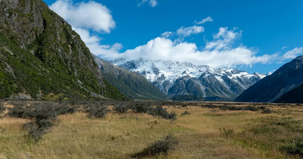 Parking Fines Guide in Mount Cook, Wellington — car parking spaces and facilities