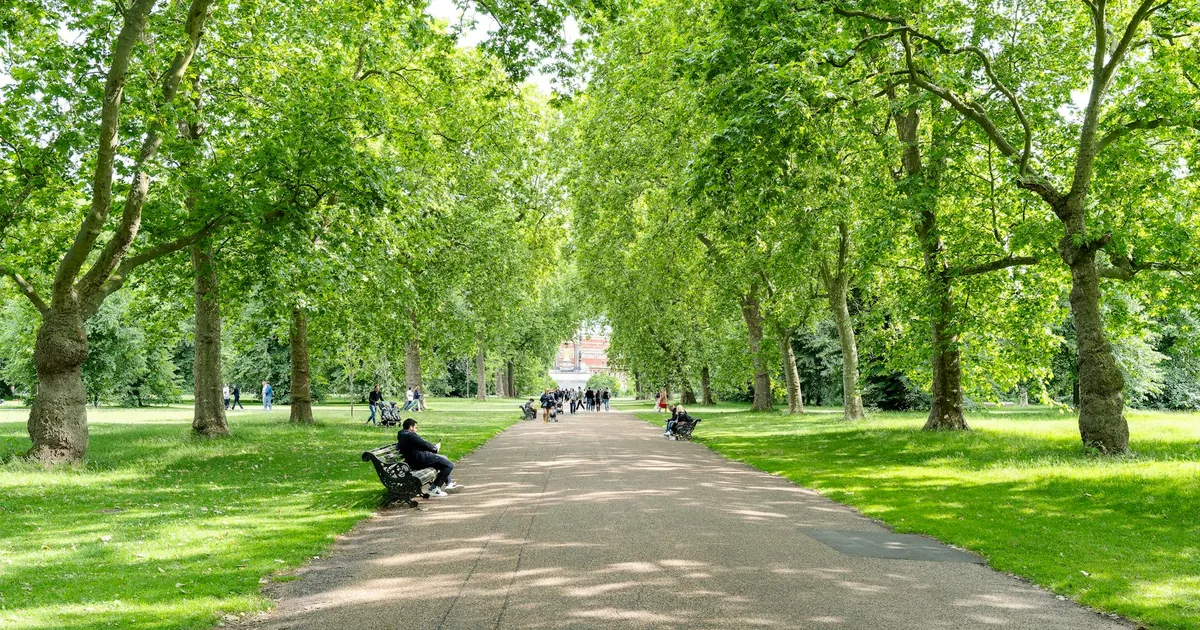 Parking Fines Guide in Parklands, England — car parking spaces and facilities