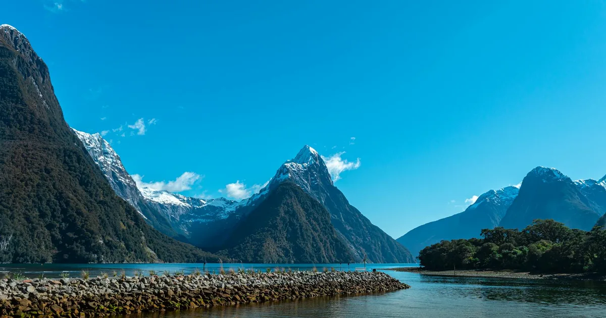 Rent Parking Guide in Milford, Auckland — car parking spaces and facilities