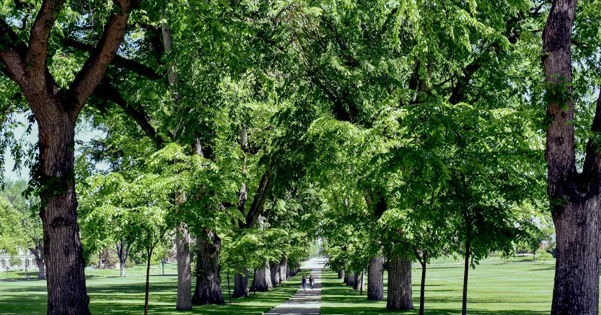 Parking Permits Guide in Fort Collins, Colorado — car parking spaces and facilities