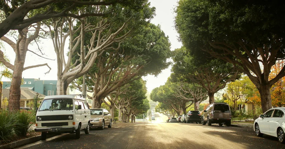 Parking Permits Guide in Laguna, Queensland — car parking spaces and facilities