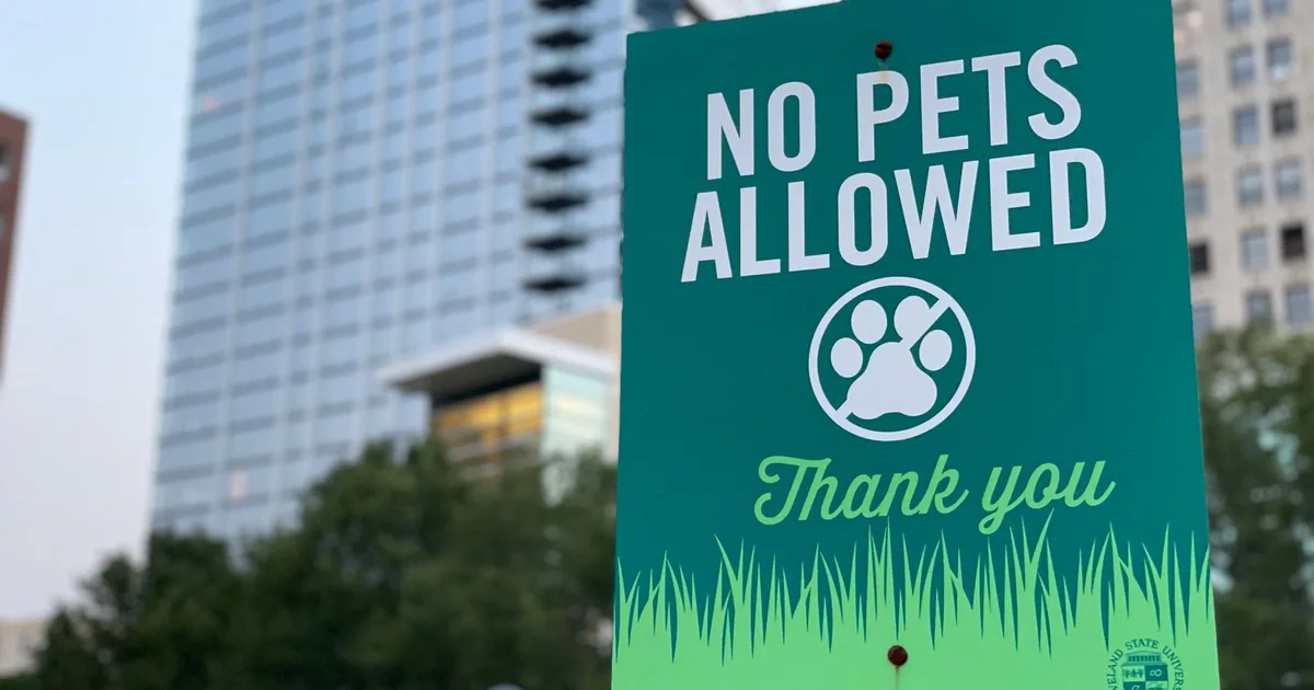 Parking Signs Guide in Addison, Illinois — car parking spaces and facilities
