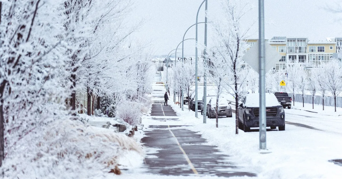 Parking Fines Guide in Calgary, Alberta — car parking spaces and facilities