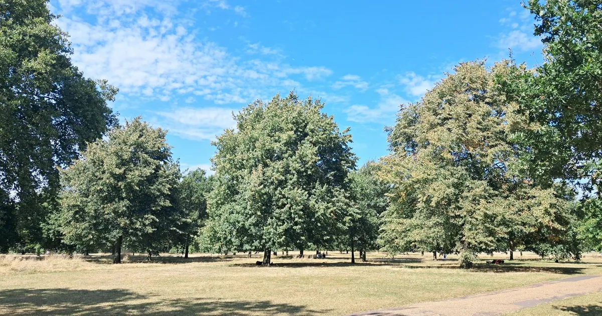 Parking Permits Guide in Hyde Park, England — car parking spaces and facilities