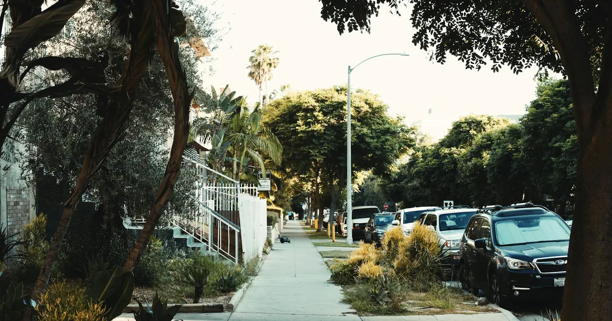 Street lined with parked cars and greenery along the sidewalk.