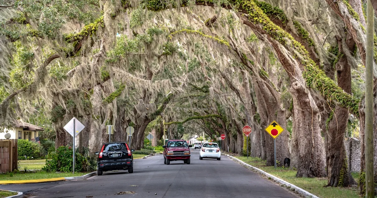 Cheap Parking Tips in Ormond Beach, Florida — car parking spaces and facilities