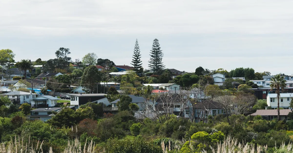 Parking Permits Guide in Henderson, Auckland — car parking spaces and facilities
