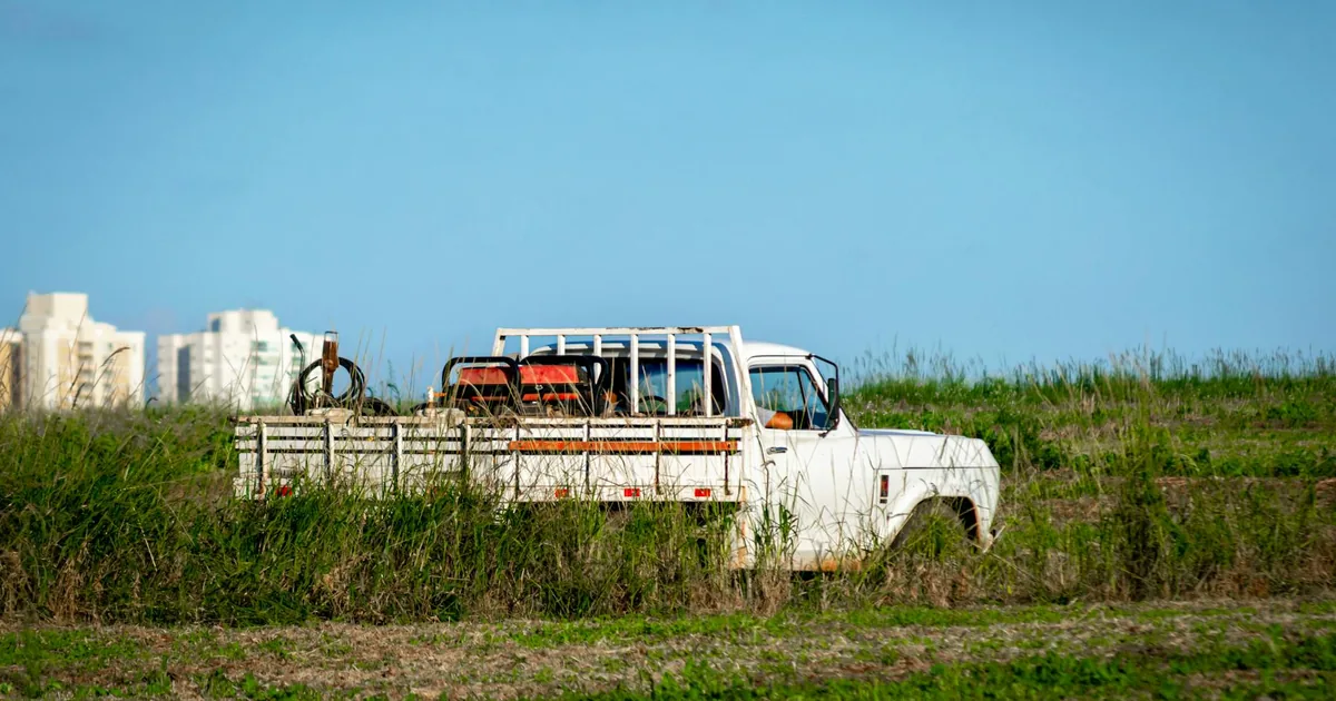 White truck parked in a grassy area with buildings in the background.