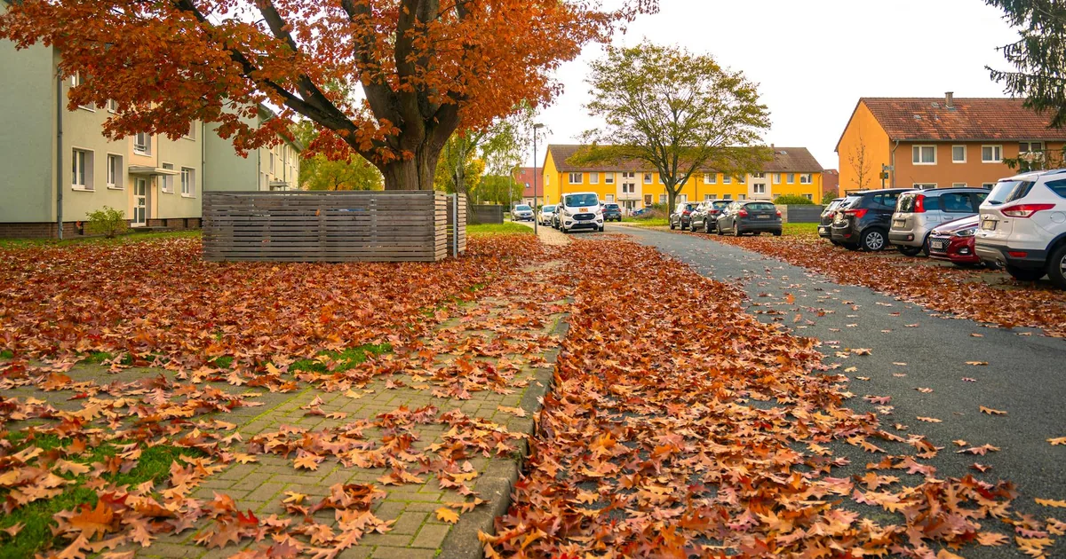 Cheap Parking Tips in Maple, British Columbia — car parking spaces and facilities