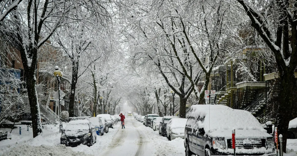 Cheap Parking Tips in The Beaches, Ontario — car parking spaces and facilities