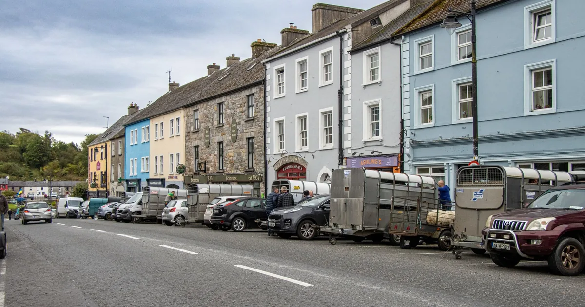 Cheap Parking Tips in Newry, Wicklow — car parking spaces and facilities