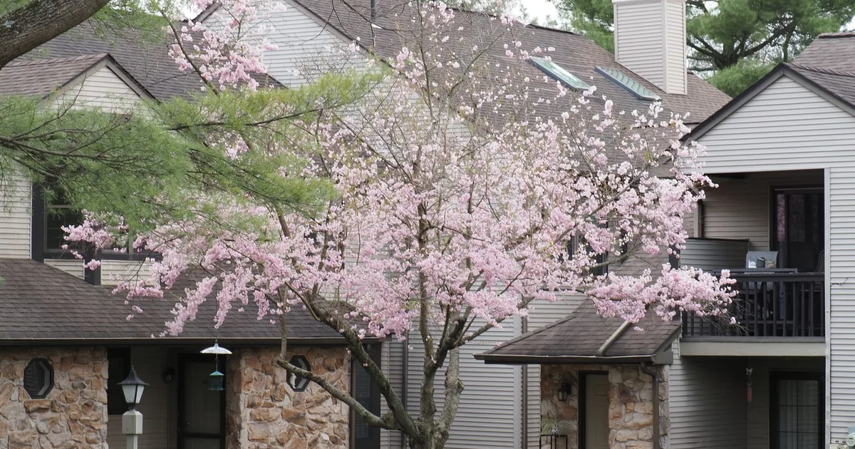 Parking Permits Guide in Cherry, Illinois — car parking spaces and facilities