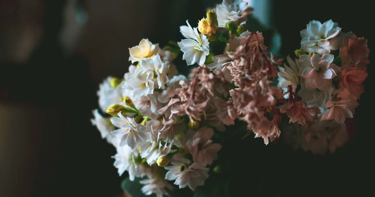 Parking in West Ryde, New South Wales