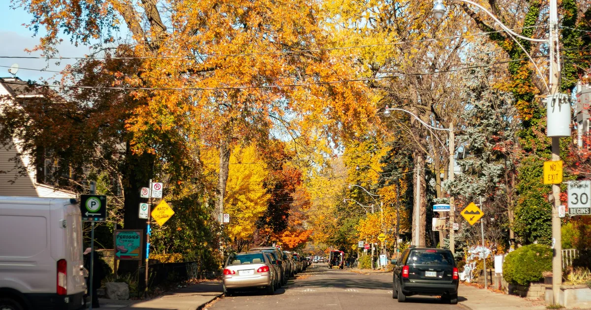 Parking Permits Guide in Delhi, Ontario — car parking spaces and facilities