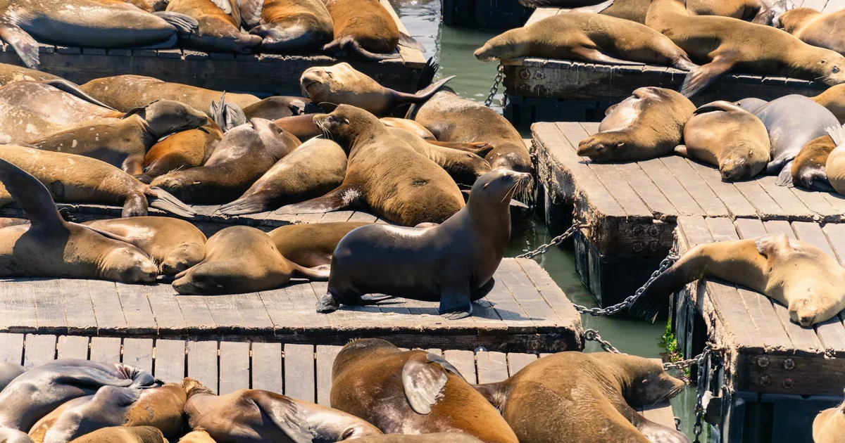 Parking Permits Guide in Fisherman's Wharf, Maryland — car parking spaces and facilities