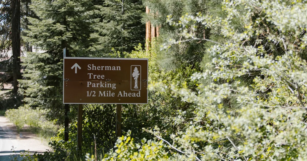Parking Signs Guide in Redwood, New York — car parking spaces and facilities