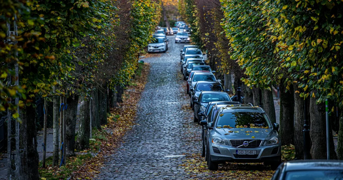 Street Parking Guide in Macquarie Park, New South Wales — car parking spaces and facilities