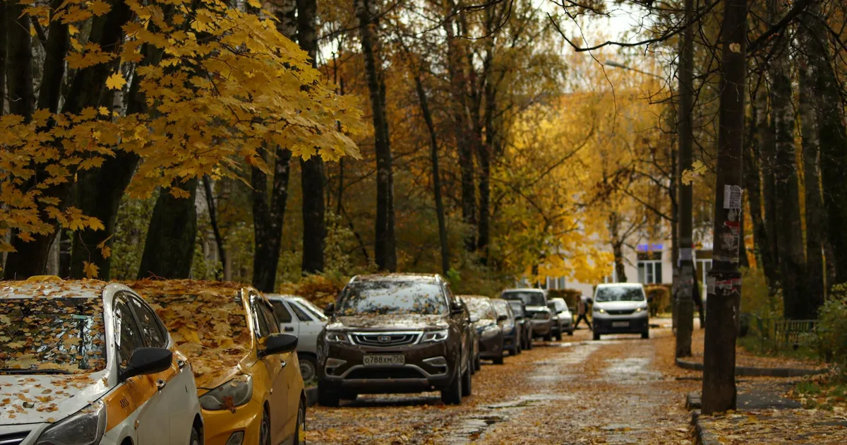 Street Parking Guide in Woodlands, New South Wales — car parking spaces and facilities