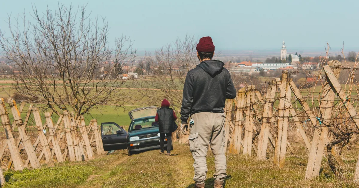 Towed Vehicle Guide in Vineyard, Victoria — car parking spaces and facilities